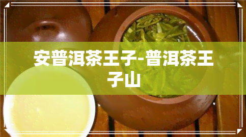 安普洱茶王子-普洱茶王子山