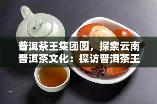 普洱茶王集团园，探索云南普洱茶文化：探访普洱茶王集团园