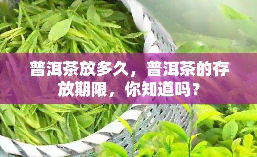 普洱茶放多久，普洱茶的存放期限，你知道吗？