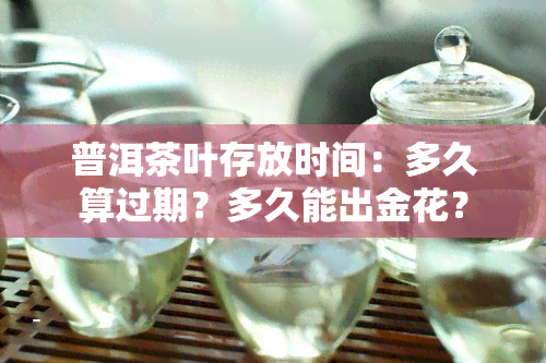 普洱茶叶存放时间：多久算过期？多久能出金花？