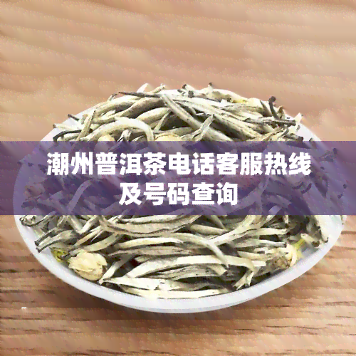 潮州普洱茶电话客服热线及号码查询