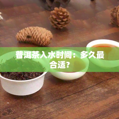 普洱茶入水时间：多久最合适？