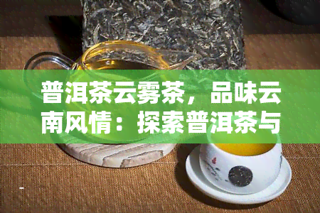 普洱茶云雾茶，品味云南风情：探索普洱茶与云雾茶的魅力