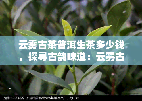 云雾古茶普洱生茶多少钱，探寻古韵味道：云雾古茶普洱生茶价格解析