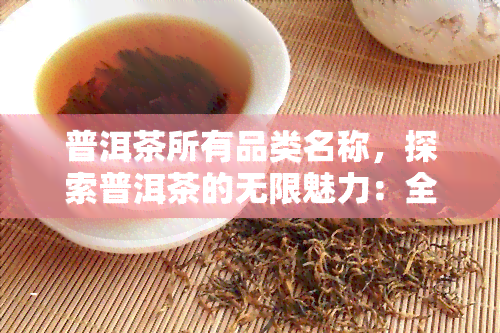 普洱茶所有品类名称，探索普洱茶的无限魅力：全品类名称大揭秘