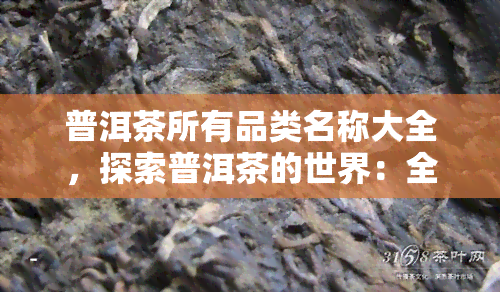 普洱茶所有品类名称大全，探索普洱茶的世界：全品类名称大全