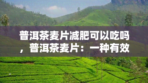 普洱茶麦片减肥可以吃吗，普洱茶麦片：一种有效的减肥食品吗？