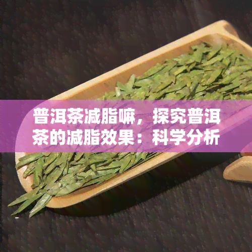 普洱茶减脂嘛，探究普洱茶的减脂效果：科学分析与实证研究