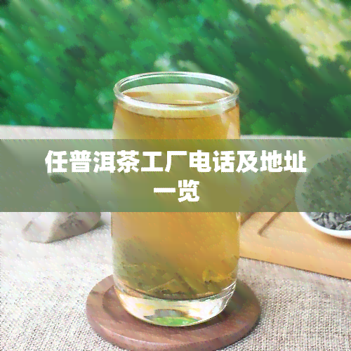 任普洱茶工厂电话及地址一览