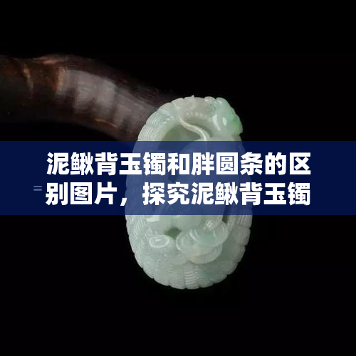 泥鳅背玉镯和胖圆条的区别图片，探究泥鳅背玉镯与胖圆条的差异：从图片中一探究竟