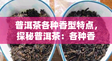 普洱茶各种香型特点，探秘普洱茶：各种香型的特点与区别