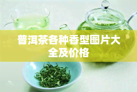 普洱茶各种香型图片大全及价格