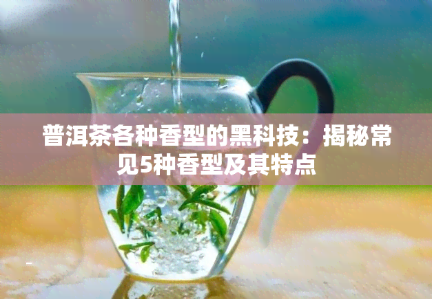 普洱茶各种香型的黑科技：揭秘常见5种香型及其特点