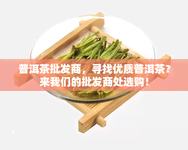 普洱茶批发商，寻找优质普洱茶？来我们的批发商处选购！