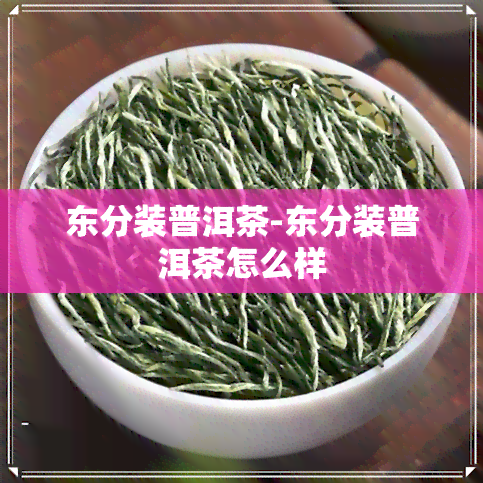 东分装普洱茶-东分装普洱茶怎么样