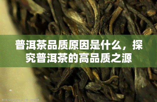 普洱茶品质原因是什么，探究普洱茶的高品质之源