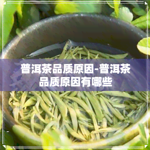 普洱茶品质原因-普洱茶品质原因有哪些