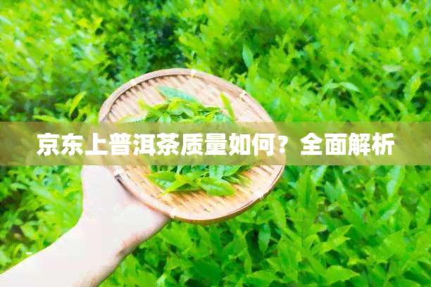 京东上普洱茶质量如何？全面解析