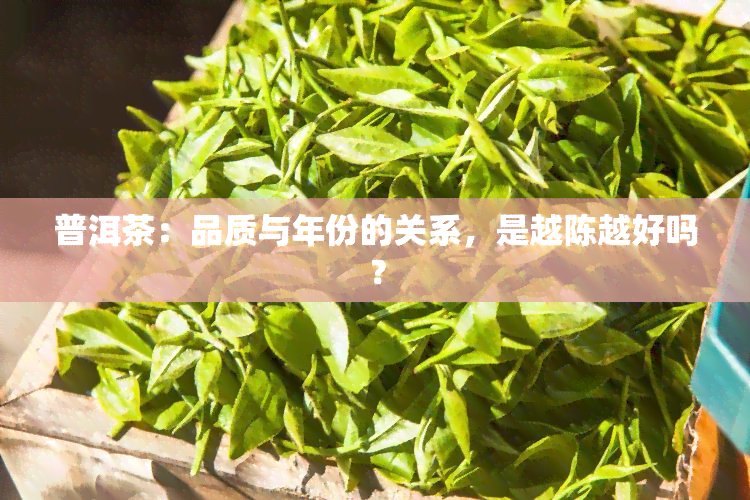 普洱茶：品质与年份的关系，是越陈越好吗？