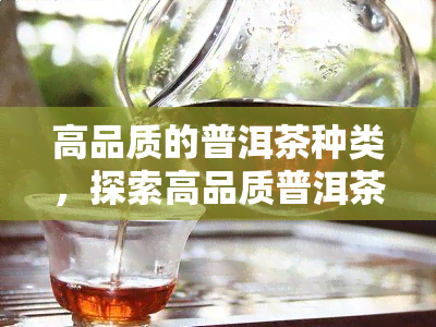 高品质的普洱茶种类，探索高品质普洱茶的世界：种类与鉴