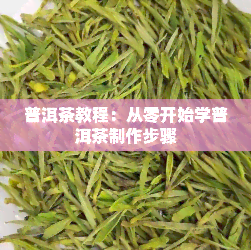 普洱茶教程：从零开始学普洱茶制作步骤