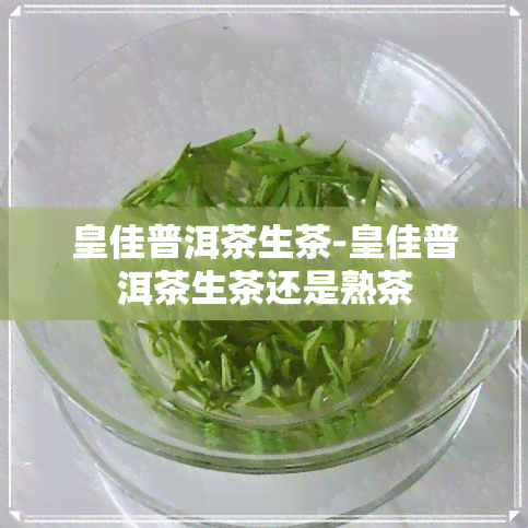 皇佳普洱茶生茶-皇佳普洱茶生茶还是熟茶