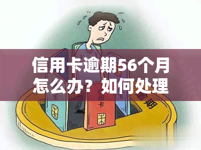 信用卡逾期56个月怎么办？如何处理长期逾期问题？