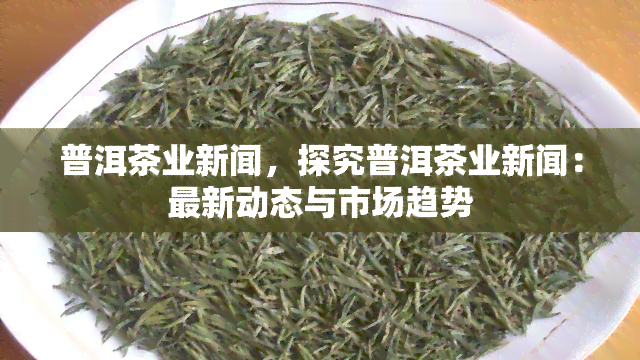 普洱茶业新闻，探究普洱茶业新闻：最新动态与市场趋势