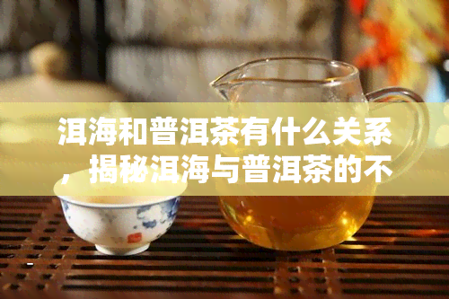 洱海和普洱茶有什么关系，揭秘洱海与普洱茶的不解之缘