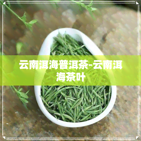 云南洱海普洱茶-云南洱海茶叶