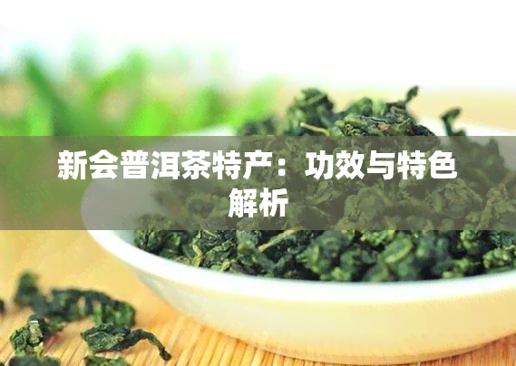 新会普洱茶特产：功效与特色解析