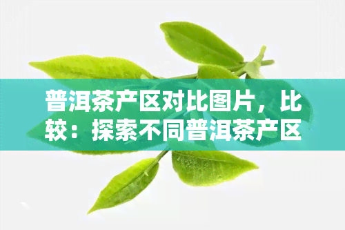 普洱茶产区对比图片，比较：探索不同普洱茶产区的独特风貌和韵味