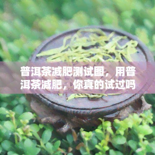 普洱茶减肥测试图，用普洱茶减肥，你真的试过吗？看这个测试图就知道效果了！