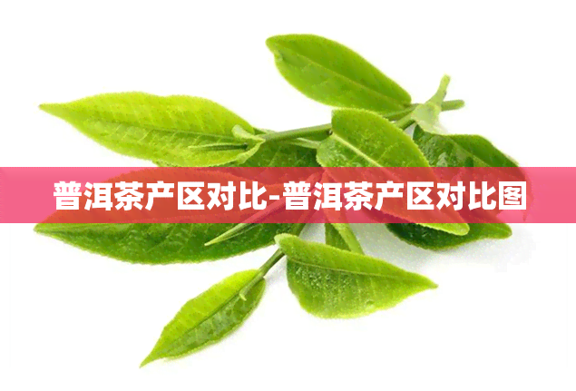 普洱茶产区对比-普洱茶产区对比图