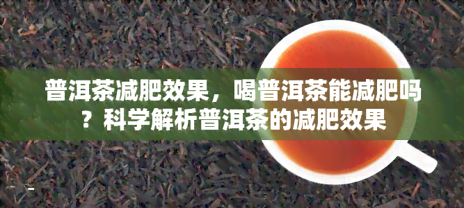 普洱茶减肥效果，喝普洱茶能减肥吗？科学解析普洱茶的减肥效果