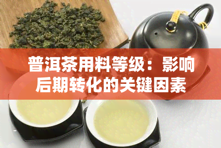 普洱茶用料等级：影响后期转化的关键因素