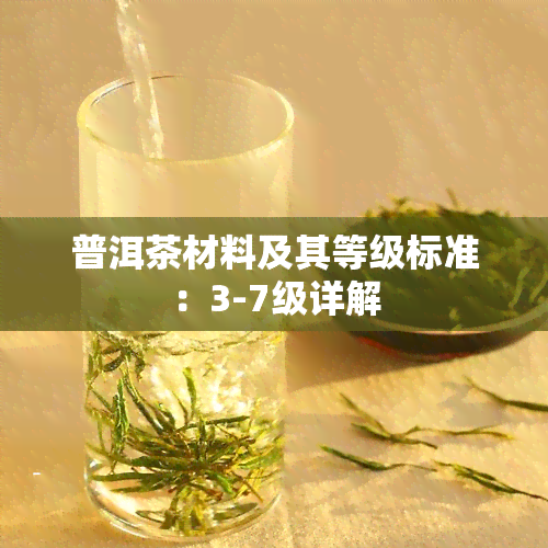 普洱茶材料及其等级标准：3-7级详解