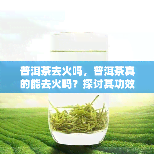 普洱茶去火吗，普洱茶真的能去火吗？探讨其功效与科学原理