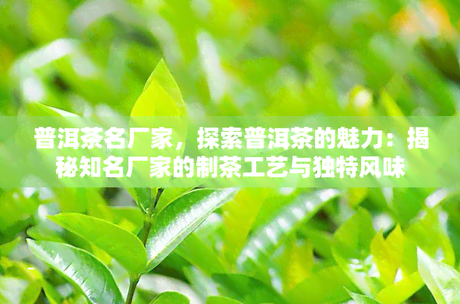 普洱茶名厂家，探索普洱茶的魅力：揭秘知名厂家的制茶工艺与独特风味