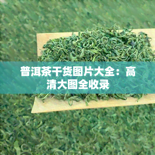 普洱茶干货图片大全：高清大图全收录