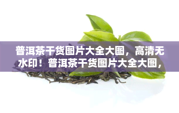 普洱茶干货图片大全大图，高清无水印！普洱茶干货图片大全大图，一网打尽！