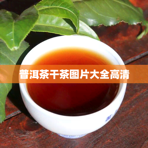 普洱茶干茶图片大全高清