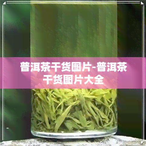 普洱茶干货图片-普洱茶干货图片大全