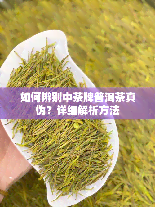 如何辨别中茶牌普洱茶真伪？详细解析方法