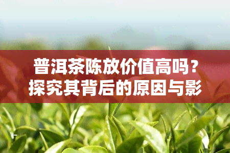 普洱茶陈放价值高吗？探究其背后的原因与影响因素