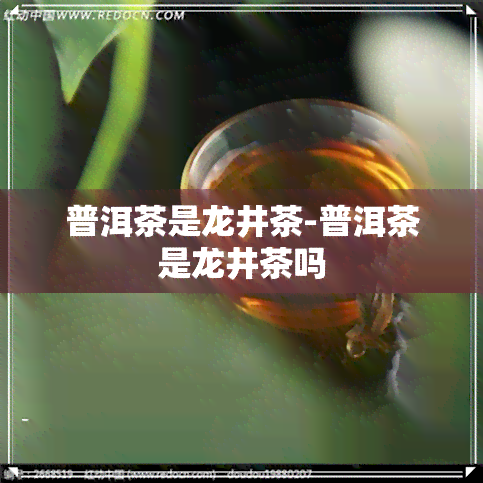 普洱茶是龙井茶-普洱茶是龙井茶吗