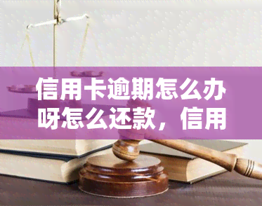 信用卡逾期怎么办呀怎么还款，信用卡逾期了，应该如何还款？