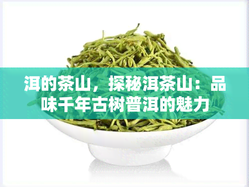 洱的茶山，探秘洱茶山：品味千年古树普洱的魅力