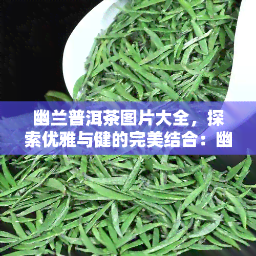 幽兰普洱茶图片大全，探索优雅与健的完美结合：幽兰普洱茶图片大全