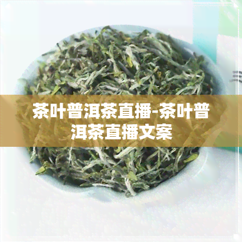 茶叶普洱茶直播-茶叶普洱茶直播文案